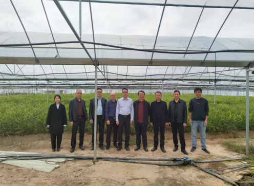 开州区白桥镇唐帅华书记率队调研华桥(重庆）智慧农业科技公司(图1)