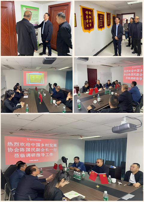 中国乡村发展协会企业家副会长 陈国民一行莅临协会调研指导工作(图2)