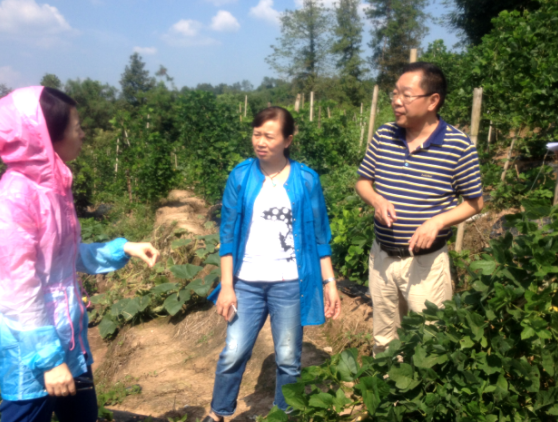 这个老板到山区办厂 带动332户困难家庭走上脱贫路(图1)